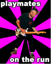 Image Hosted by ImageShack.us