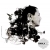 Enola "Lost In Shibuya" Initial Cuts 029